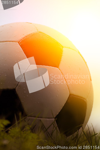 Image of Photo of a soccer ball on grass