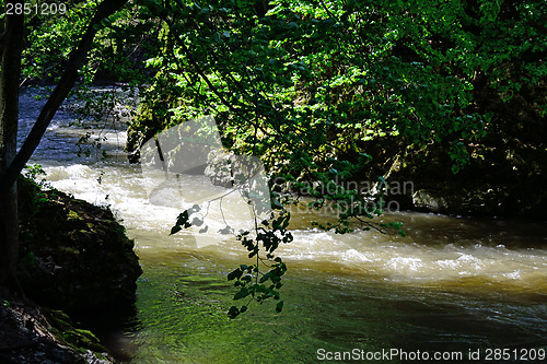 Image of River