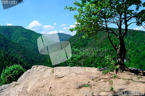 Image of View from a cliff