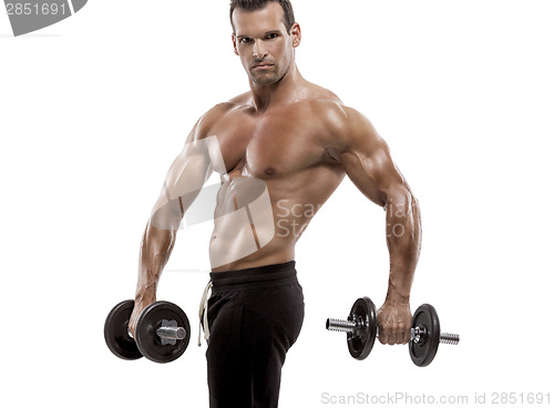 Image of Muscle man holding weights