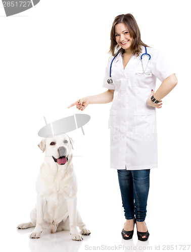 Image of Beautiful young veterinary with a labrador dog, isolated over wh