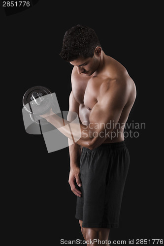 Image of Muscular man lifting weights