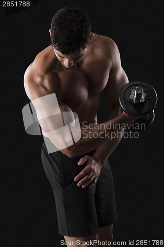 Image of Muscular man lifting weights