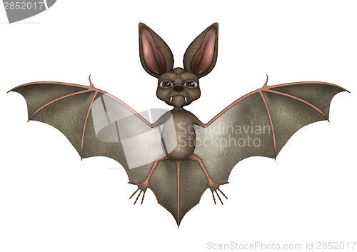 Image of Funny Bat