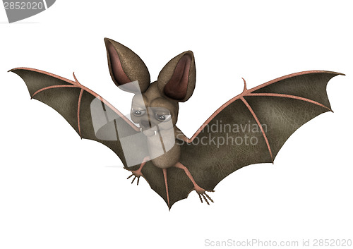 Image of Bat