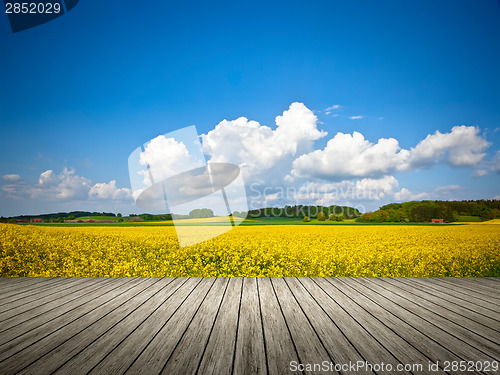 Image of raps field