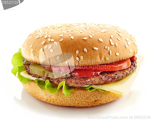 Image of burger on a white background