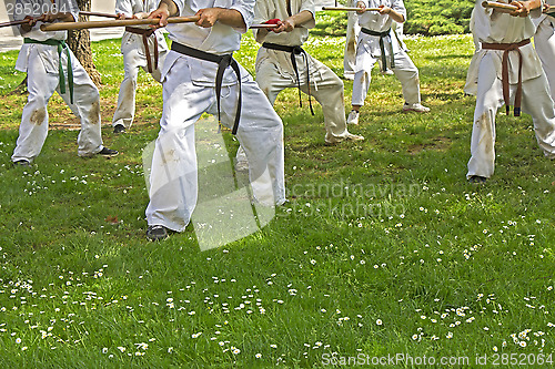 Image of Taekwondo with sticks