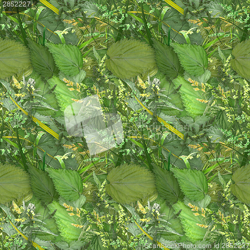 Image of Camouflage seamless background with natural foliage
