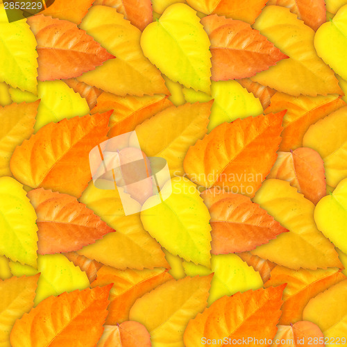 Image of Camouflage seamless background with natural foliage