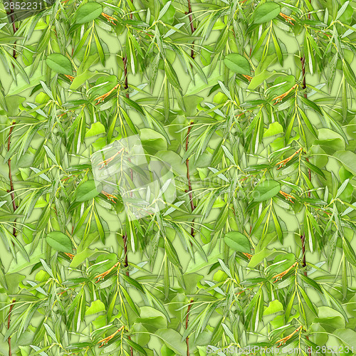 Image of Camouflage seamless background with natural foliage