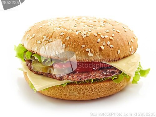 Image of burger on white background