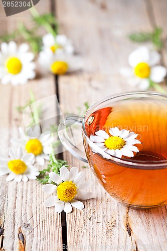 Image of cup of tea with chamomile flowers 