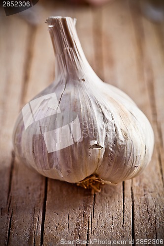 Image of fresh garlic