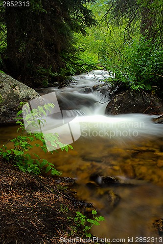 Image of Flowing Stream in the Forest
