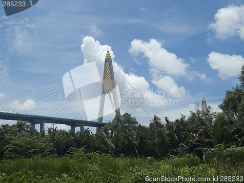 Image of Motorway bridge through tropical forest