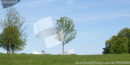 Image of Primrose Hill, London