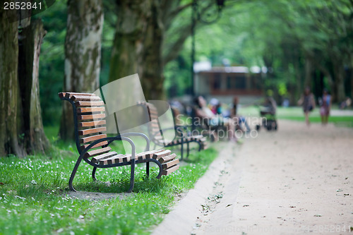 Image of Evening in the park