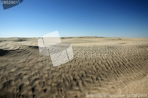 Image of Dunes in Sahara