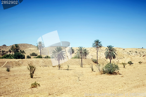 Image of Sahara desert in Matmata