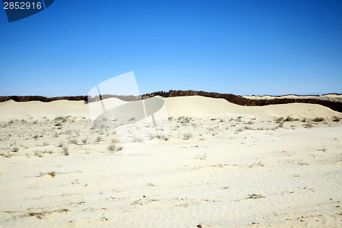 Image of Sand wall in Sahara