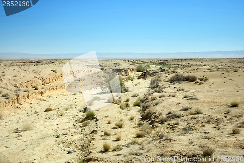 Image of Sahara desert