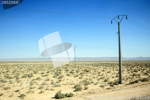 Image of Power poles in Sahara