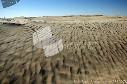 Image of Desert dunes in Sahara