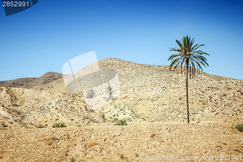 Image of Rocky desert in southern Tunisia