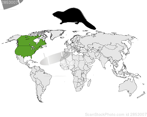 Image of Distribution of canadian beaver 