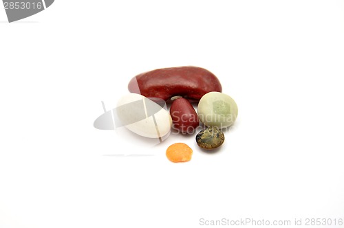 Image of Detailed but simple image of legumes on white