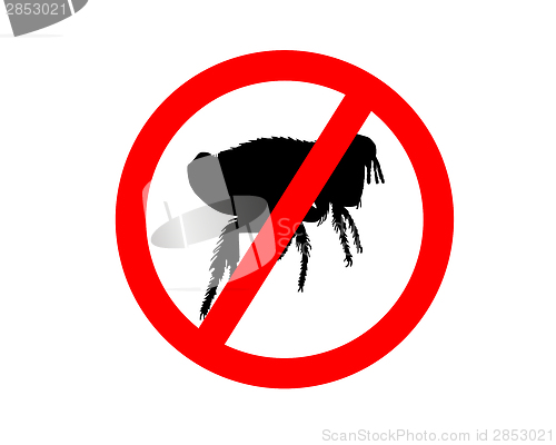 Image of Prohibition sign for fleas on white background