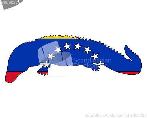 Image of Caiman Venezuela