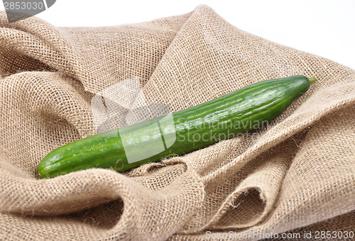 Image of Cucumber on jute
