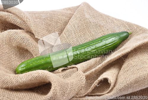 Image of Cucumber on jute