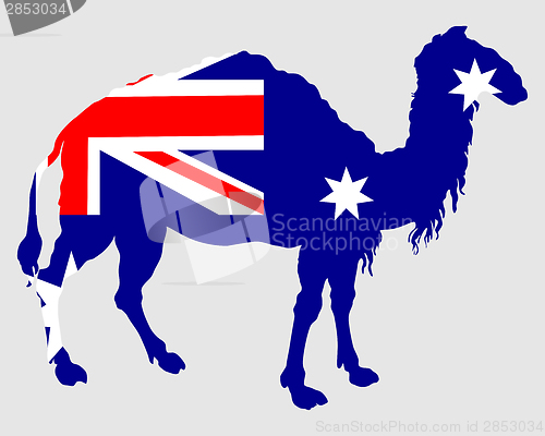 Image of Flag of Australia with camel