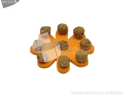 Image of Dog food on felt