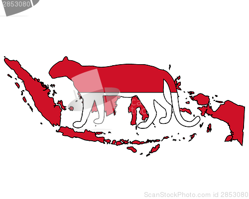Image of Indonesia leopard