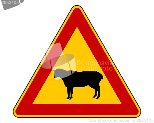 Image of Sheep warning sign