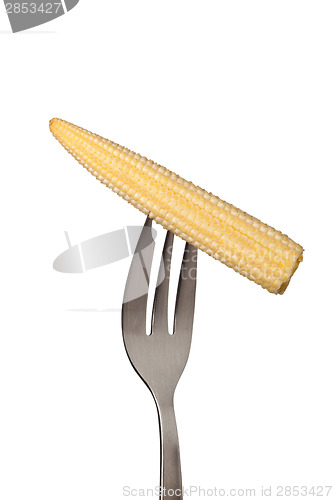 Image of Baby corn held by a fork