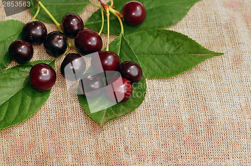 Image of Ripe cherry on the rough fabric as the background