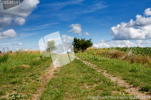 Image of Rural summer landscape 