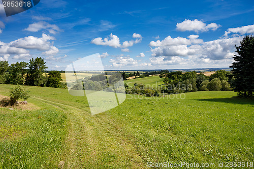 Image of Rural summer landscape 