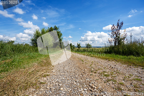 Image of rural path with trees next to meadows