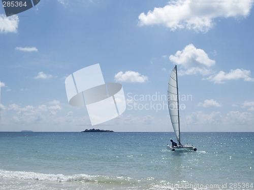 Image of Catamaran at sea