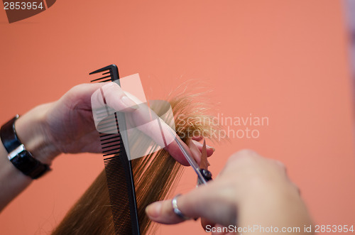 Image of hairdresser shorten ends of the hair with scissors 