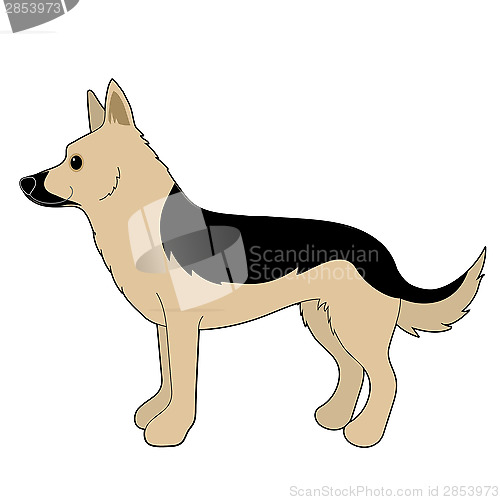 Image of German Shepherd