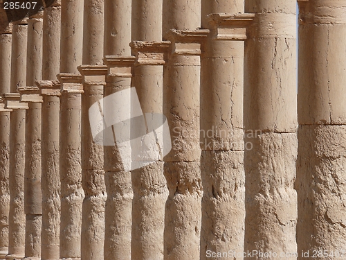 Image of Ancient historical columns standing in a row, Great Colonnade, Palmyra, Syria, Middle East