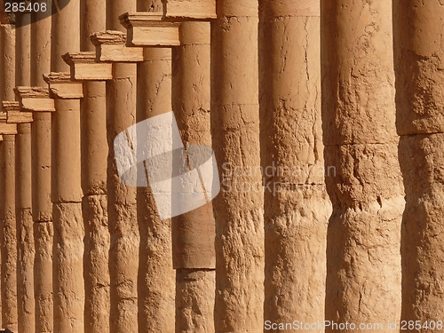 Image of Ancient historical columns standing in a row, Great Colonnade, Palmyra, Syria, Middle East