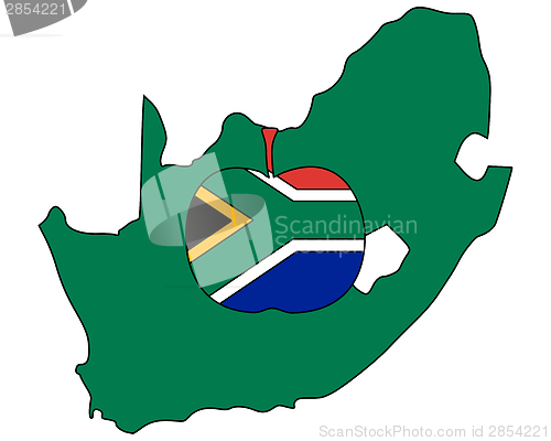 Image of South African apple